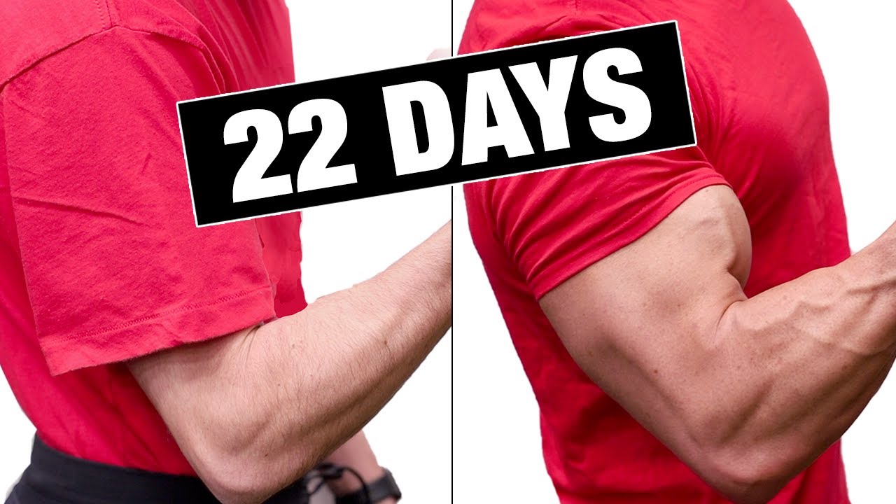 21-Day Workout Plan for a Muscular Upper Body - Muscle & Fitness