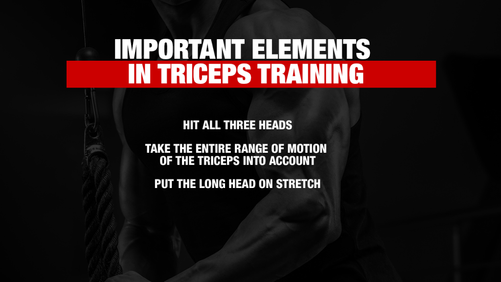 12 Week Triple Header Triceps Workout Program