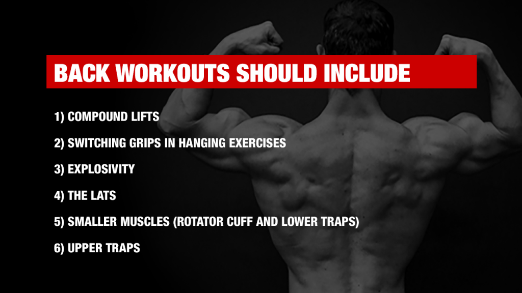 back workouts should include