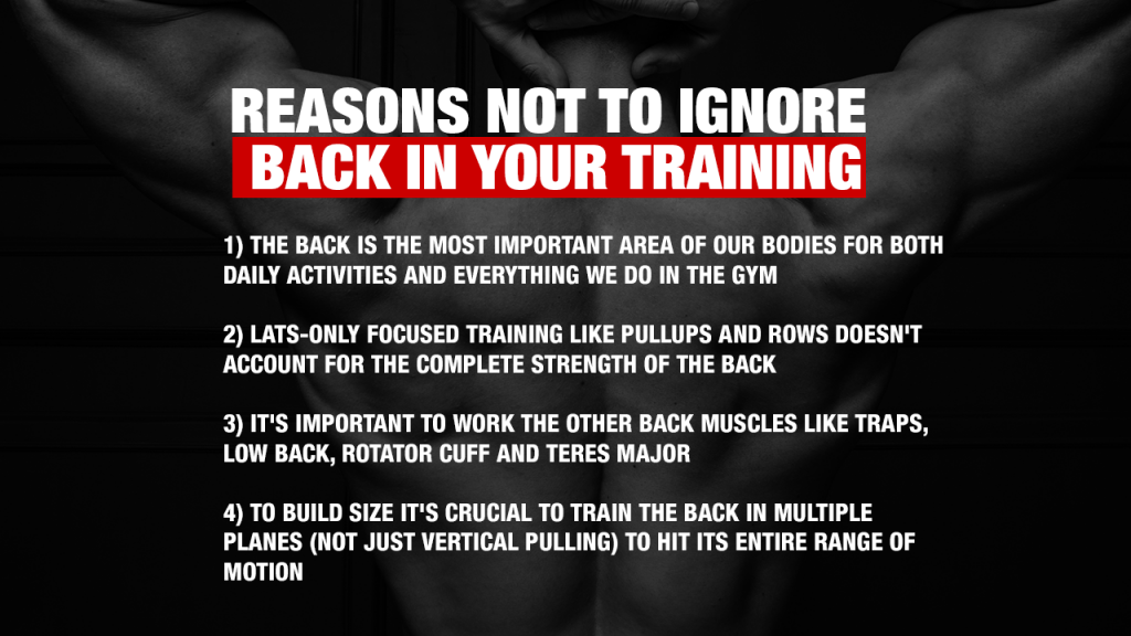 reasons not to ignore back in your training