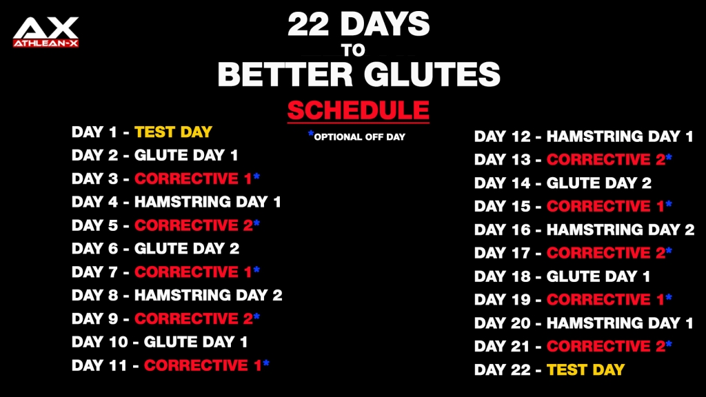 22 day glute workout schedule