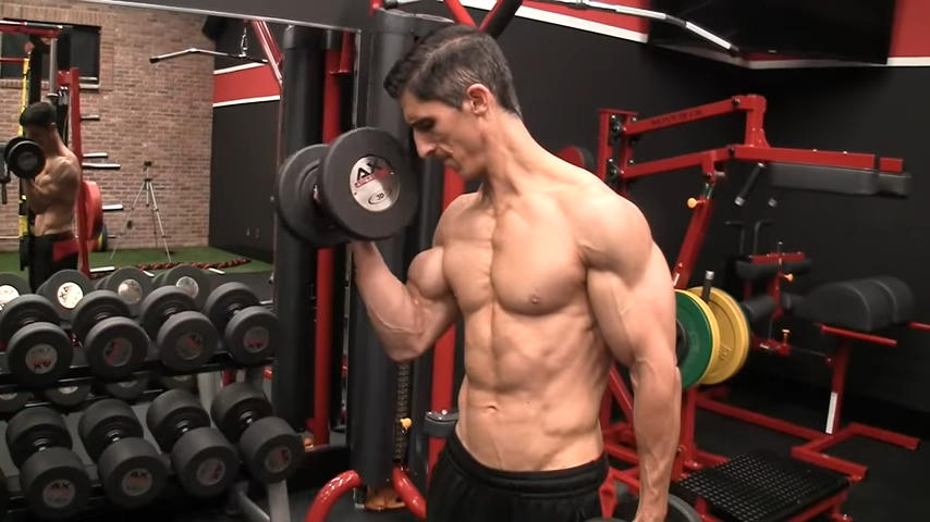 isolation exercises bicep curl