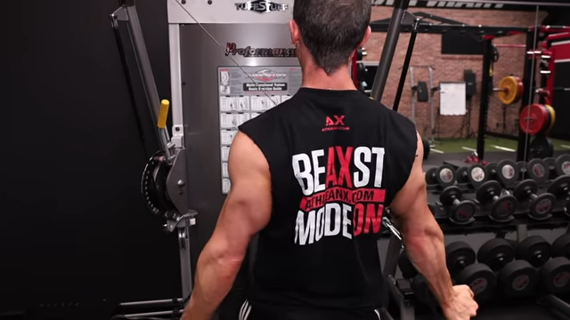 The Best Triceps Pushdown Variation