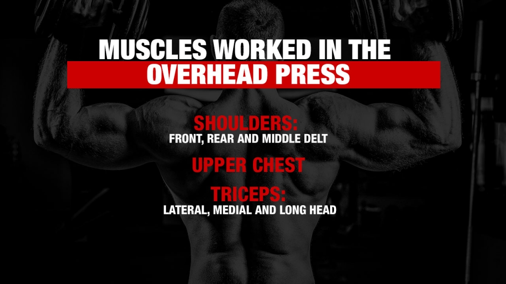 Ohp upper chest sale