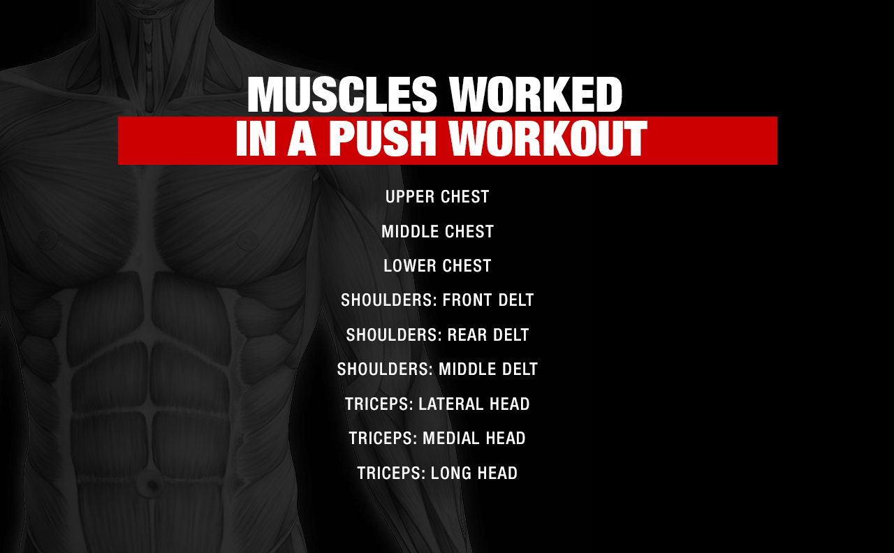muscles worked in a push workout