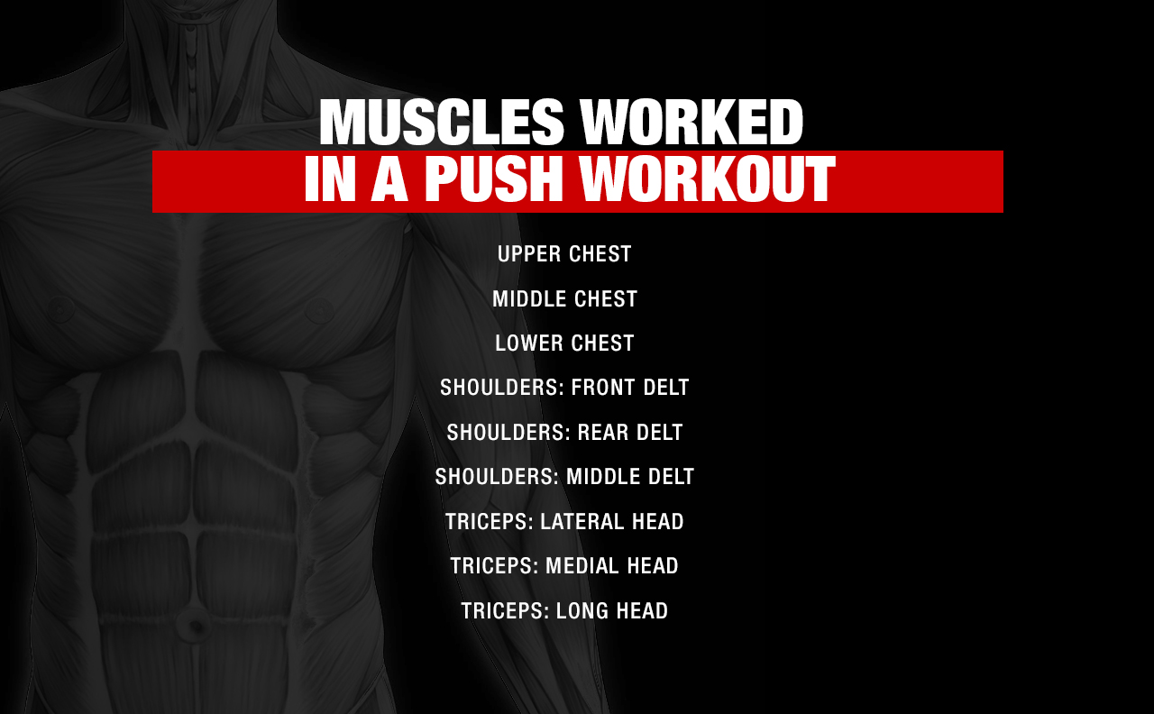 Push pull chest online back workout