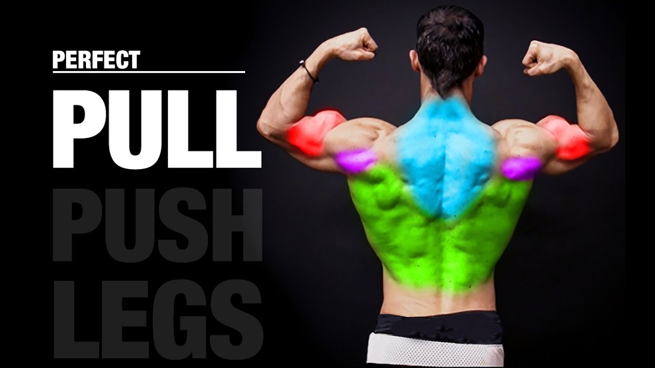 Top 20 Workout Routines for Bulking Up and Getting Massive