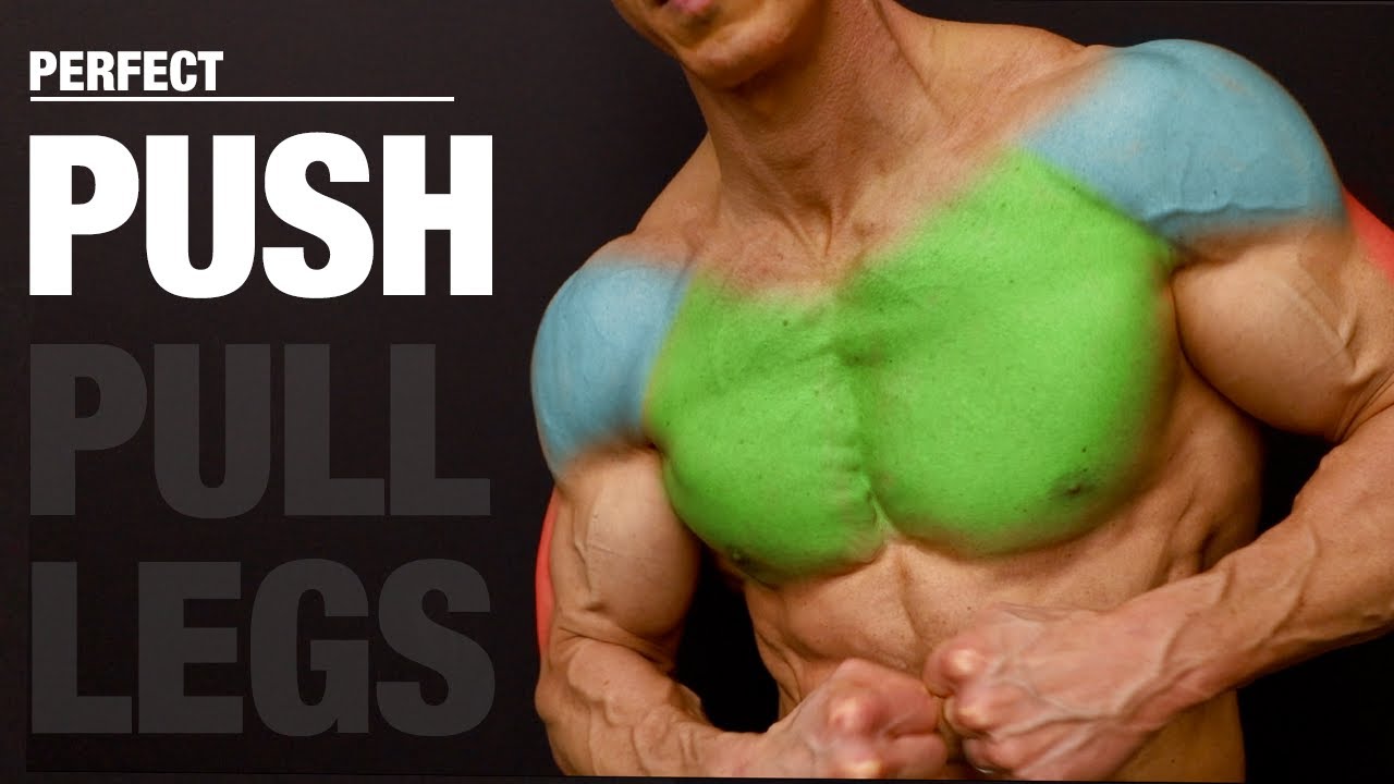 Push pull legs online abs split