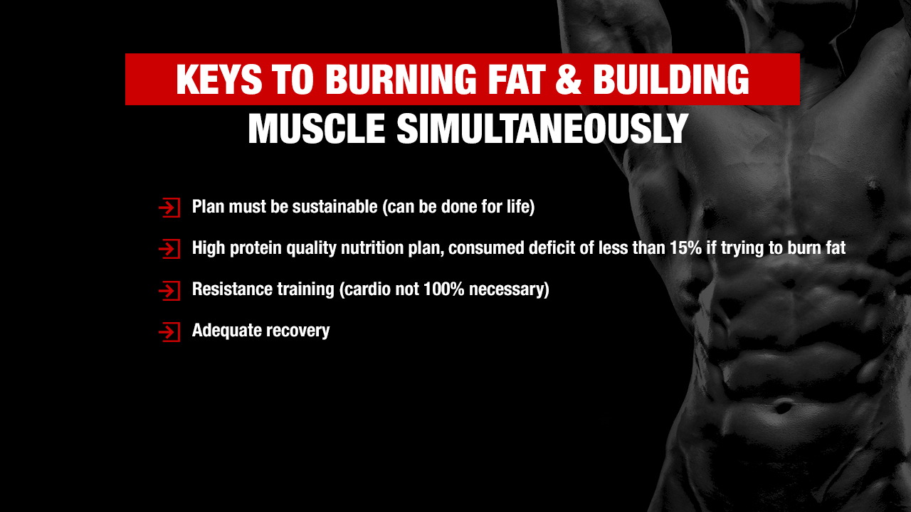 how to burn fat and build muscle simultaneously