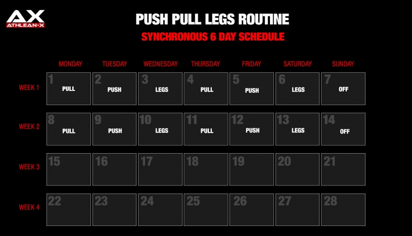 6 day push pull workout pdf