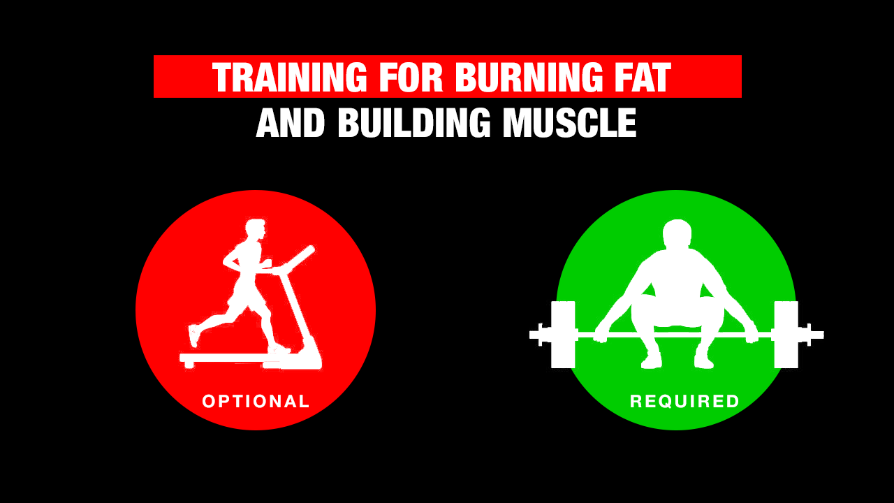 weight training vs cardio for burning fat and building muscle