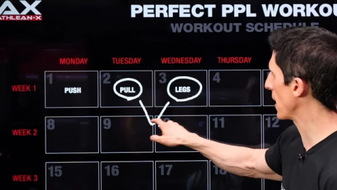 The PERFECT Legs Workout (PUSH, PULL