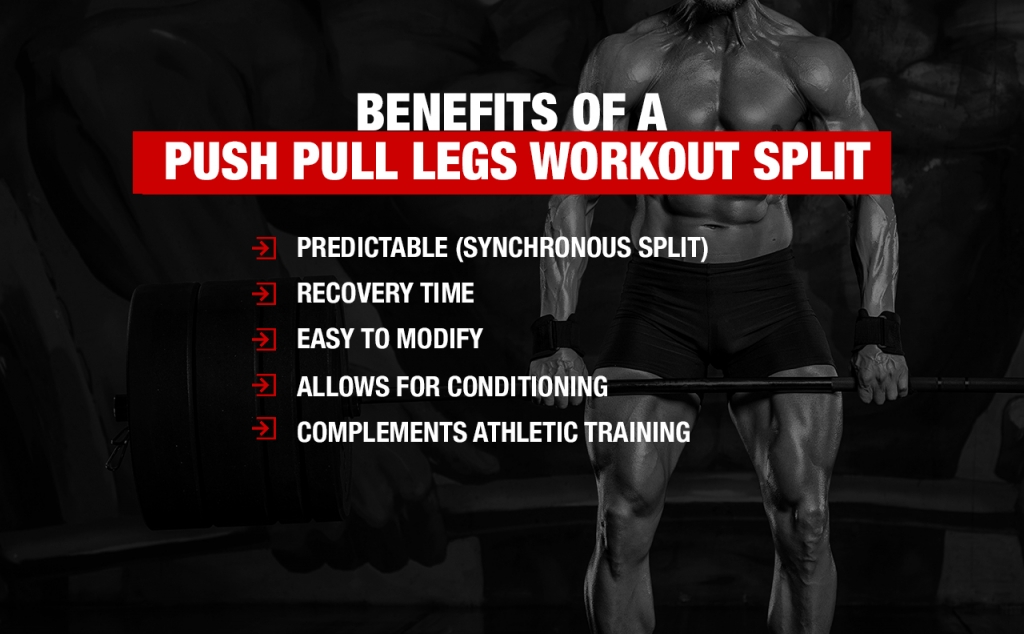 Push Pull Legs Routine PPL Split for Max Gains ATHLEANX