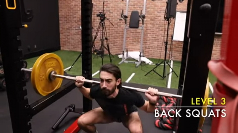 barbell back squat