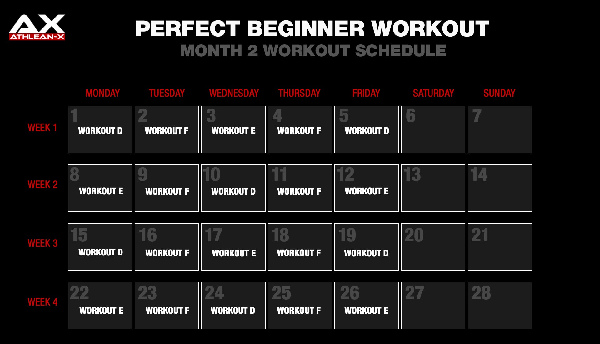 beginner workout month 2 schedule