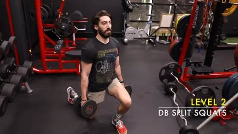 dumbbell split squat
