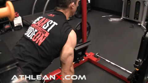 barbell row activation of triceps