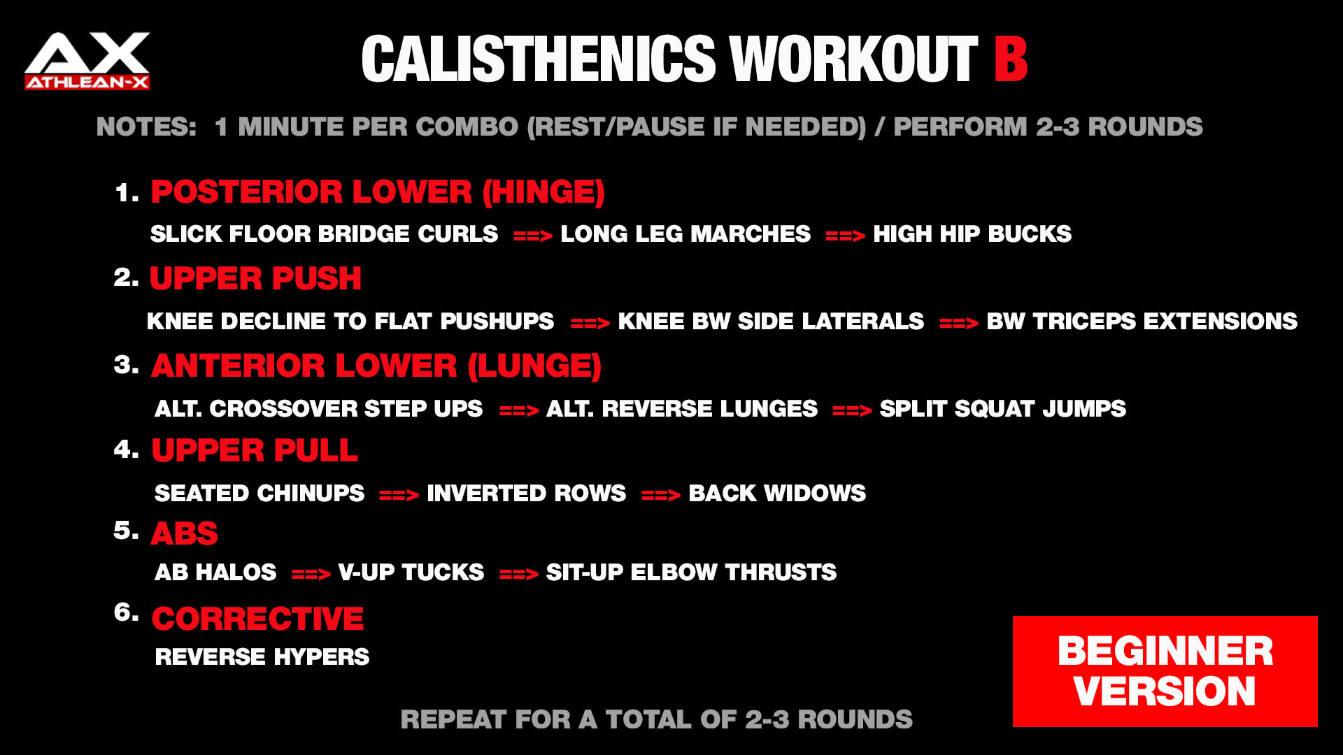 calisthenics workout plan b beginner