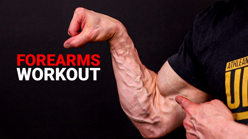 forearms workouts