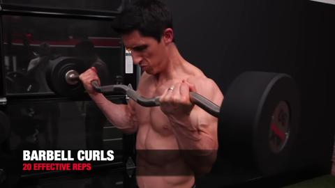 barbell curl