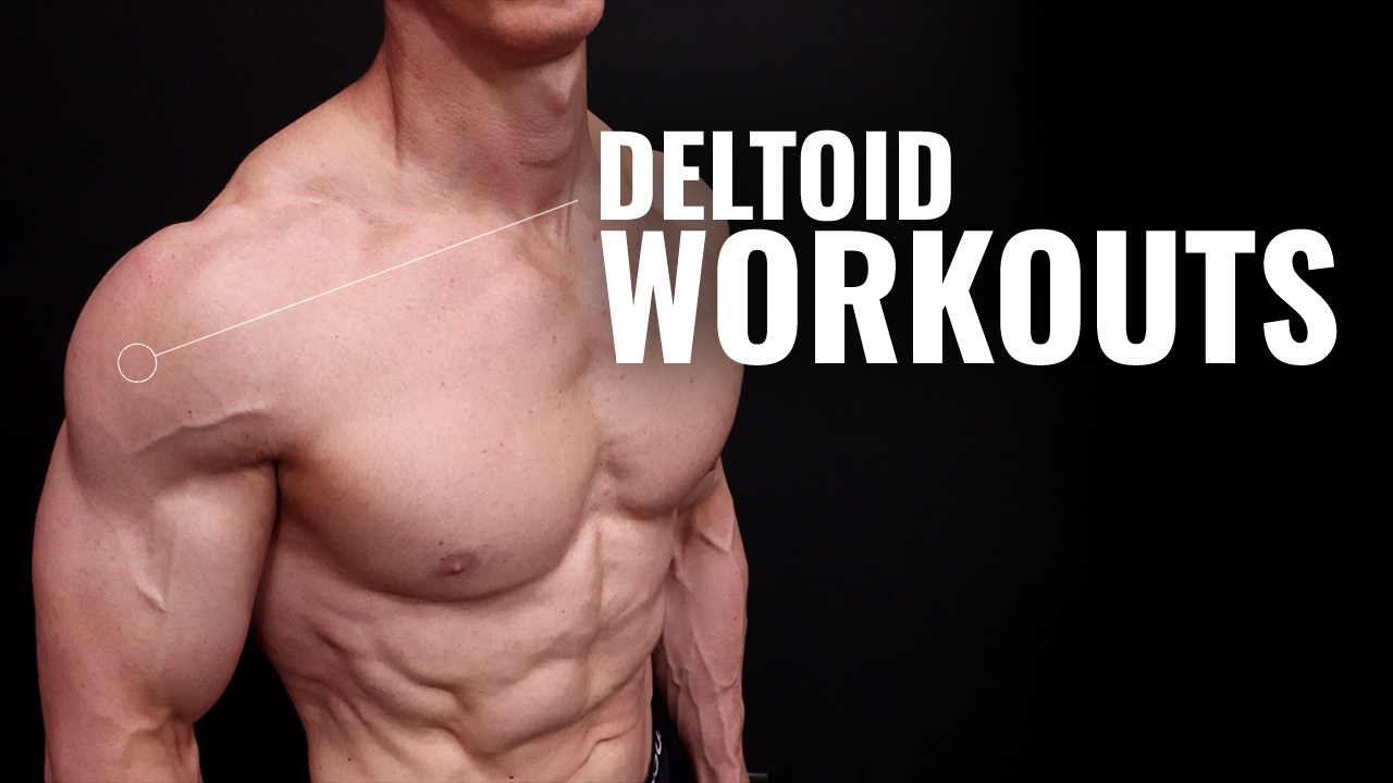 Top 5 Exercises For Deltoid Muscle at Tabitha Johnson blog