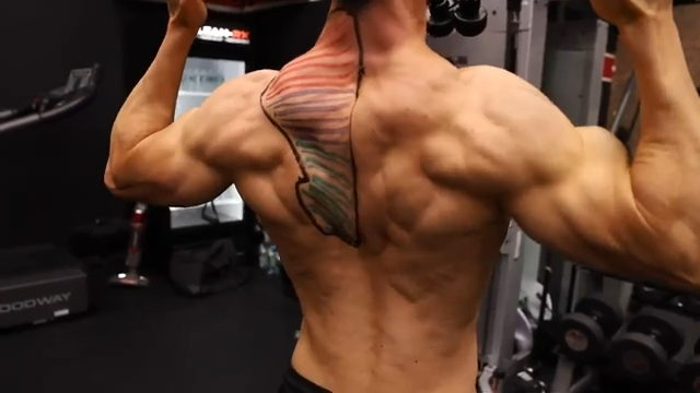 face pull with elevated raise