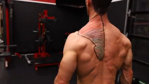 Best Upper Trap Exercises, Upper Traps Workout