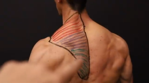 14 Best Trap Workouts - Exercises for Trapezius Back Muscles