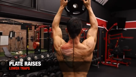 Trap Workouts - Best Exercises For Muscle & Strength