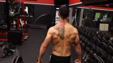 Best Upper Trap Exercises, Upper Traps Workout