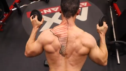 14 Best Trap Workouts - Exercises for Trapezius Back Muscles