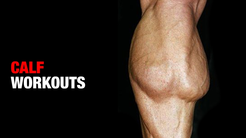 calf workouts guide