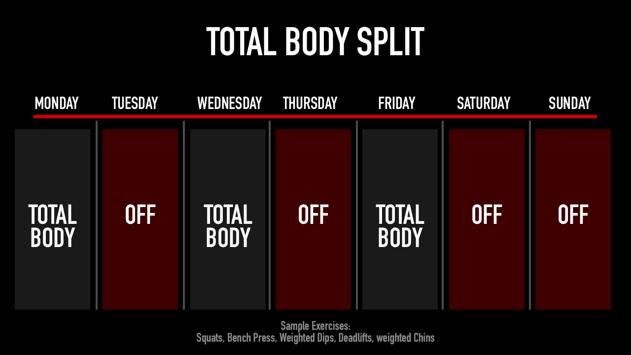 Total body 2024 split