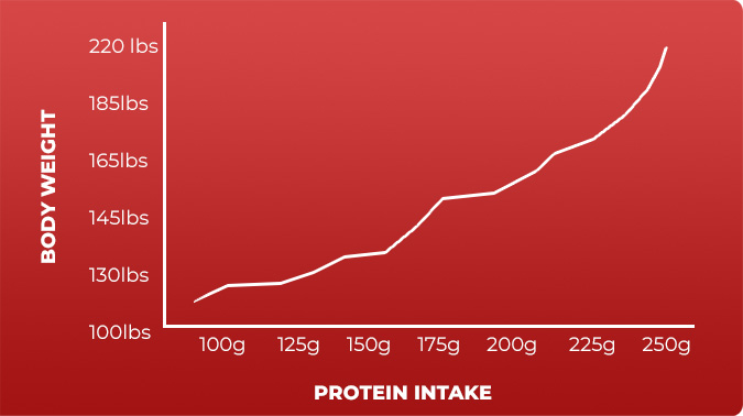 Protein intake vs Bodyweight