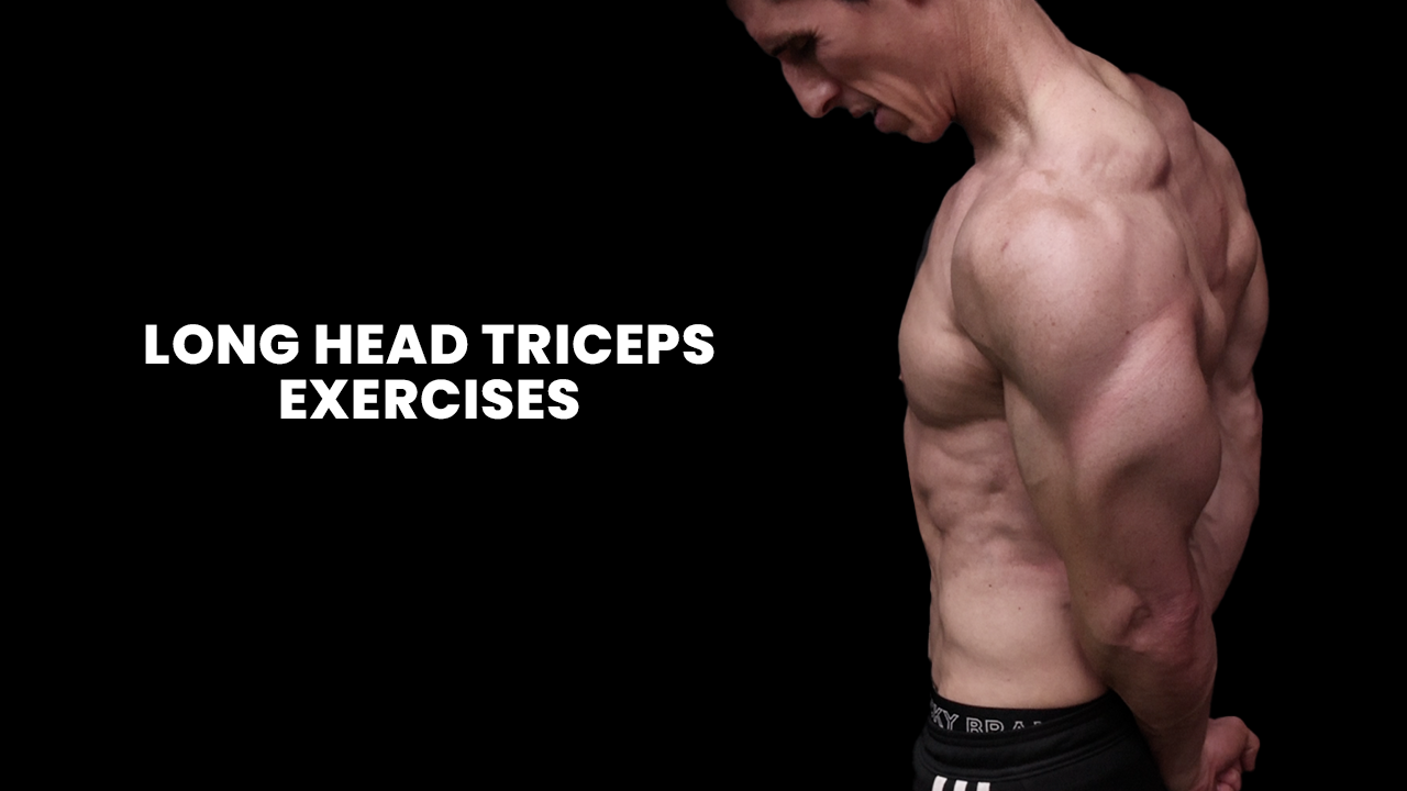 Long Head Triceps Exercises For Bigger Arms ATHLEAN X Long Head Triceps Exercises For Bigger Arms ATHLEAN X