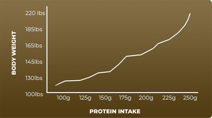 Protein intake vs body weight