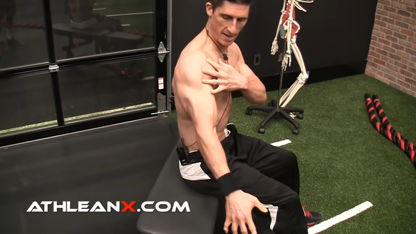 externally rotate the shoulder in bench dips