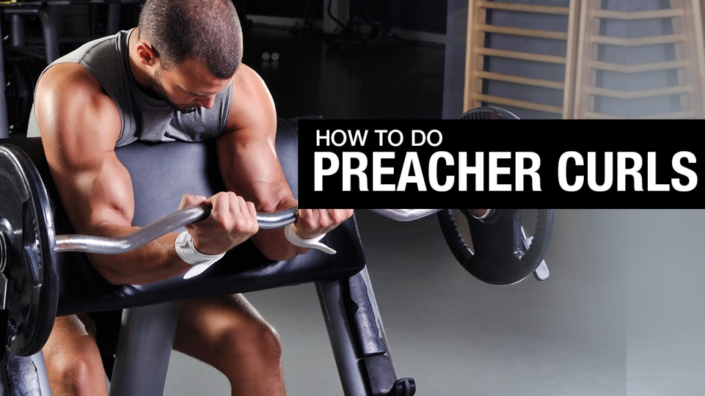 how to do preacher curls