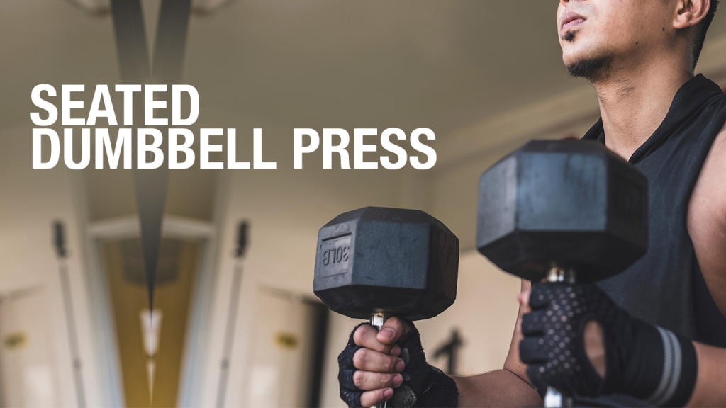 How To Do The Seated Dumbbell Press